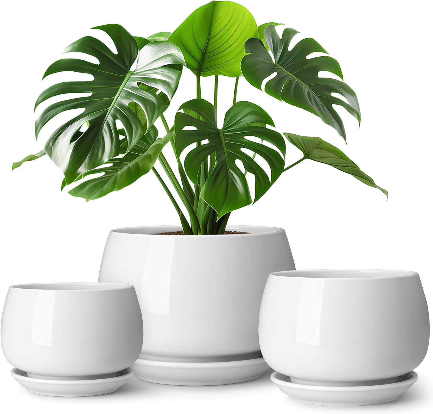Ceramic Planters with Saucers — Set of 3, 3.7/4.8/6.2 in, White