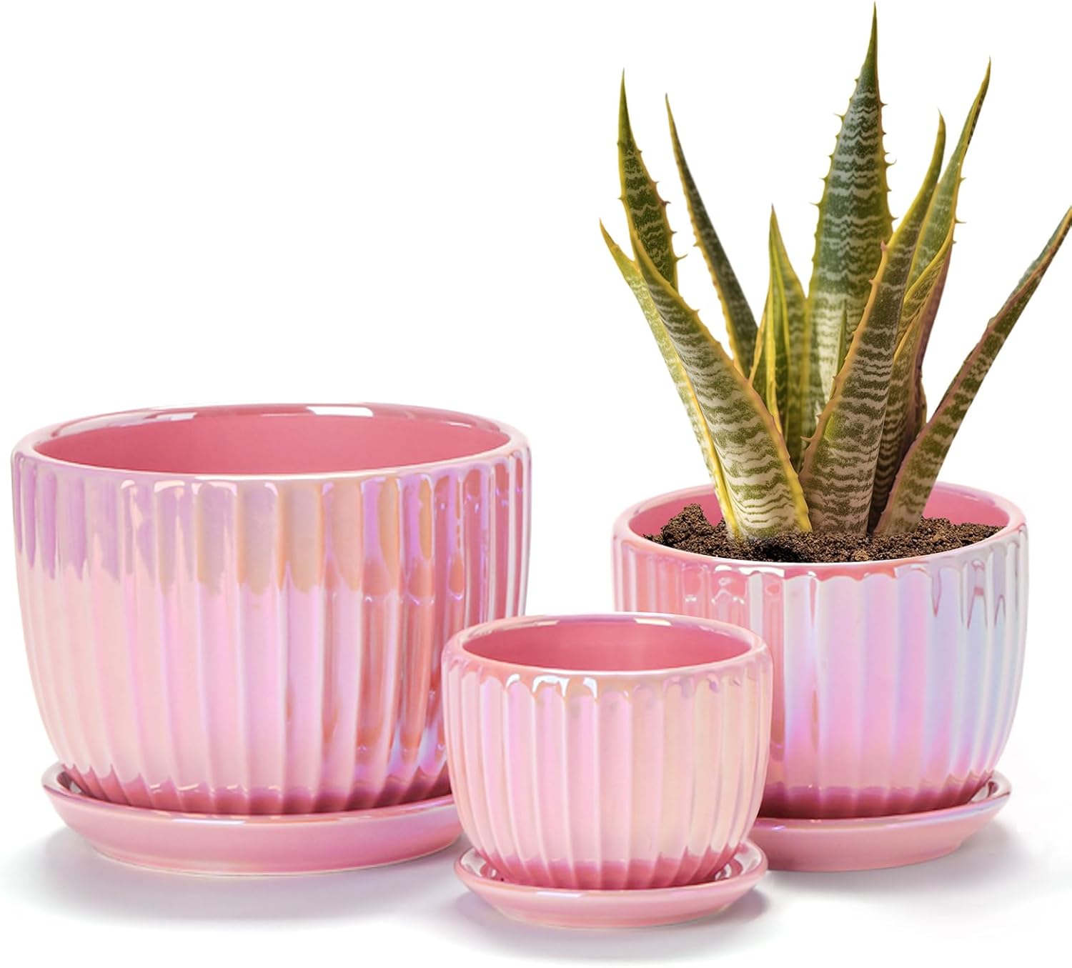 Ceramic Planters with Saucers — Set of 3, Pink