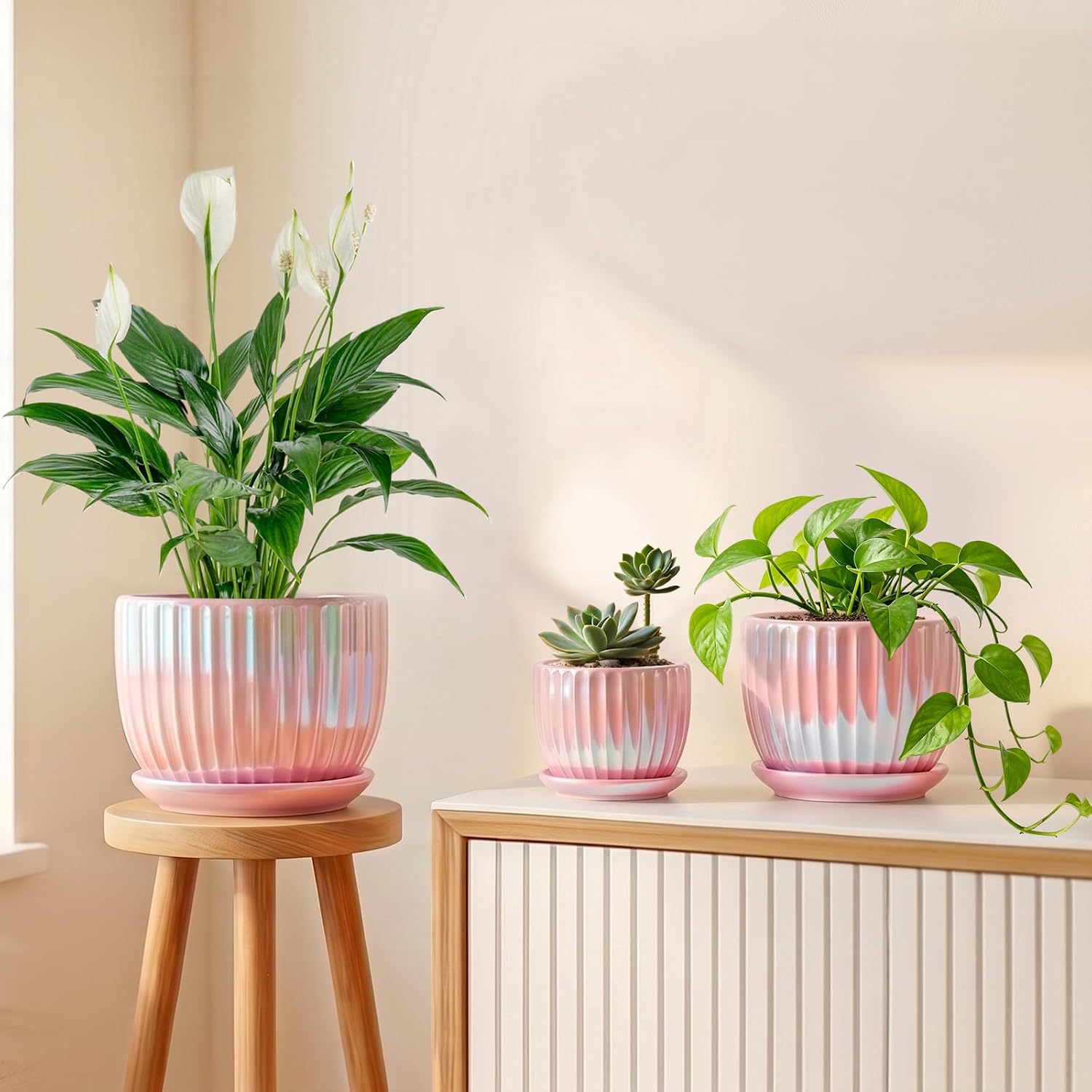 Ceramic Planters with Saucers — Set of 3, Pink