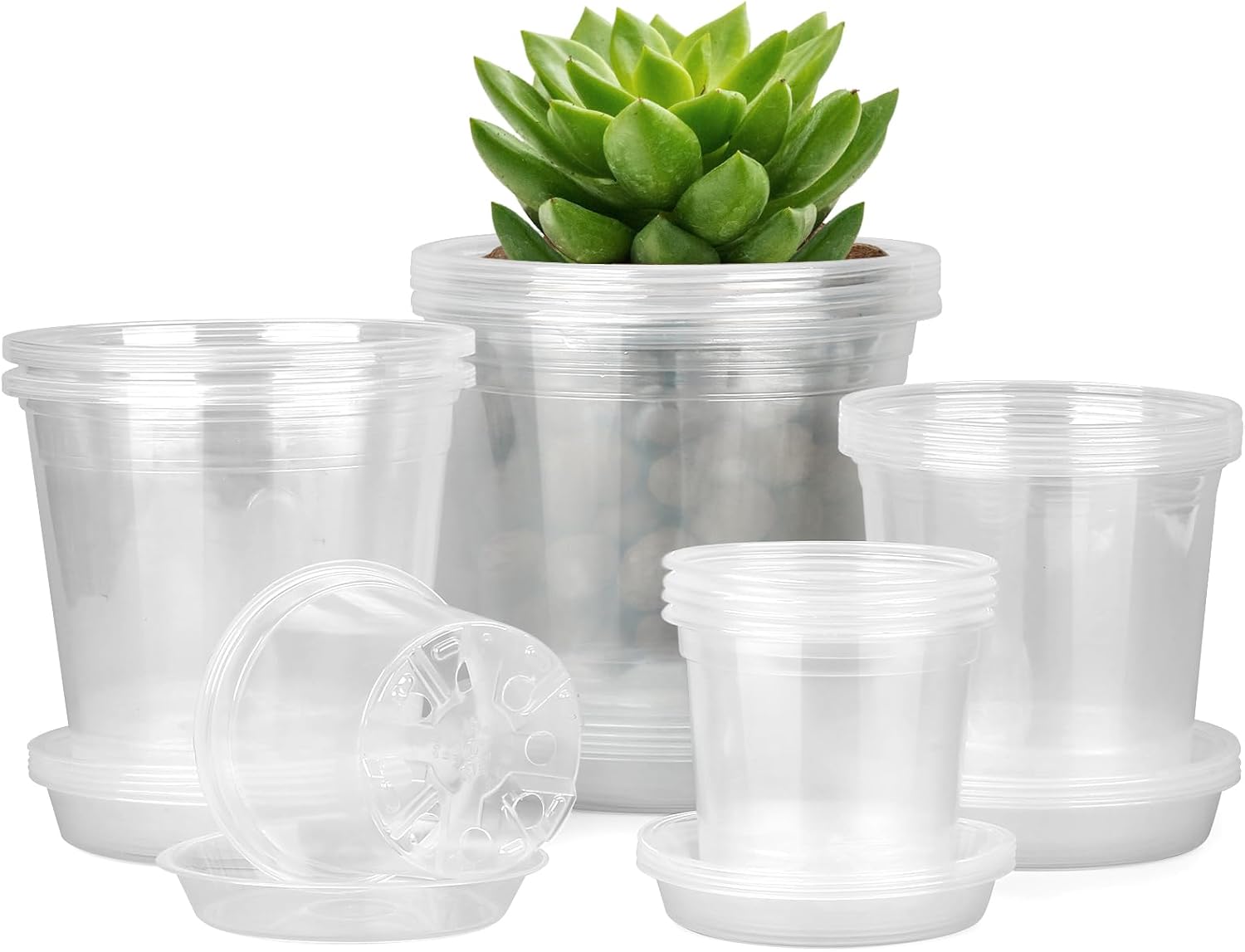 Clear Nursery Pots with Saucers — 20 Pack, 4 to 7 in
