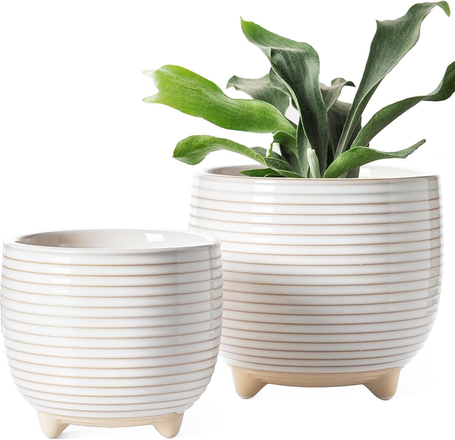 Footed Ceramic Planters — Set of 2, 5.1/6.4 in, White