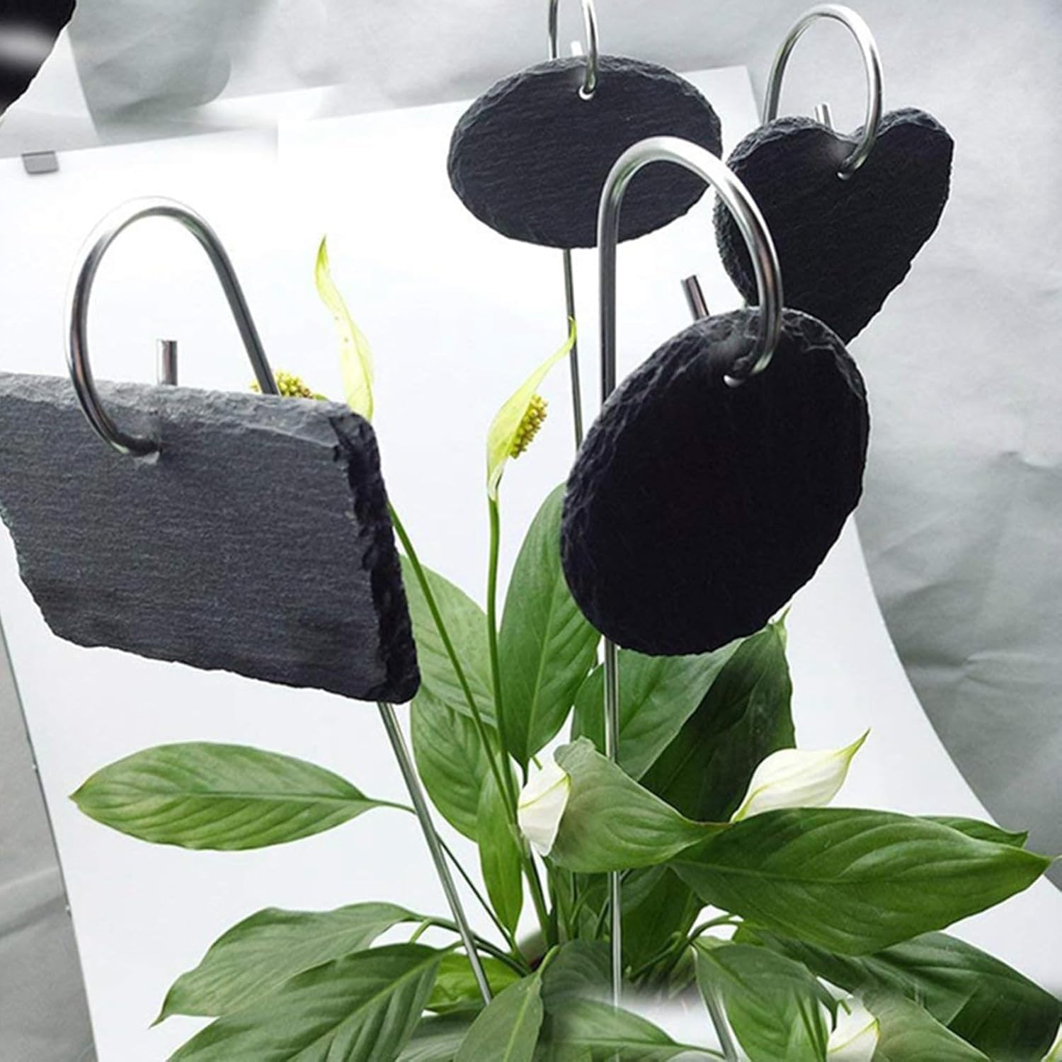 Hanging Plant Label Markers — 20 Pack, 20 cm, Rustproof
