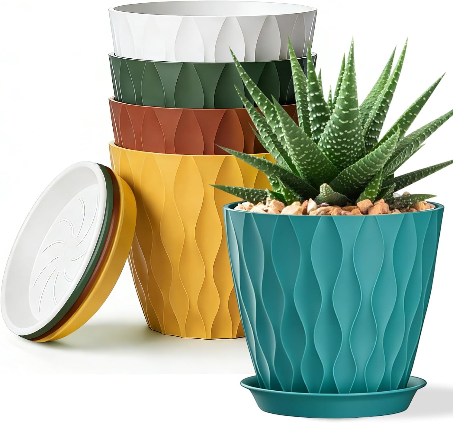 Plastic Plant Pots with Saucers — Set of 5, 8 in, Assorted Colours
