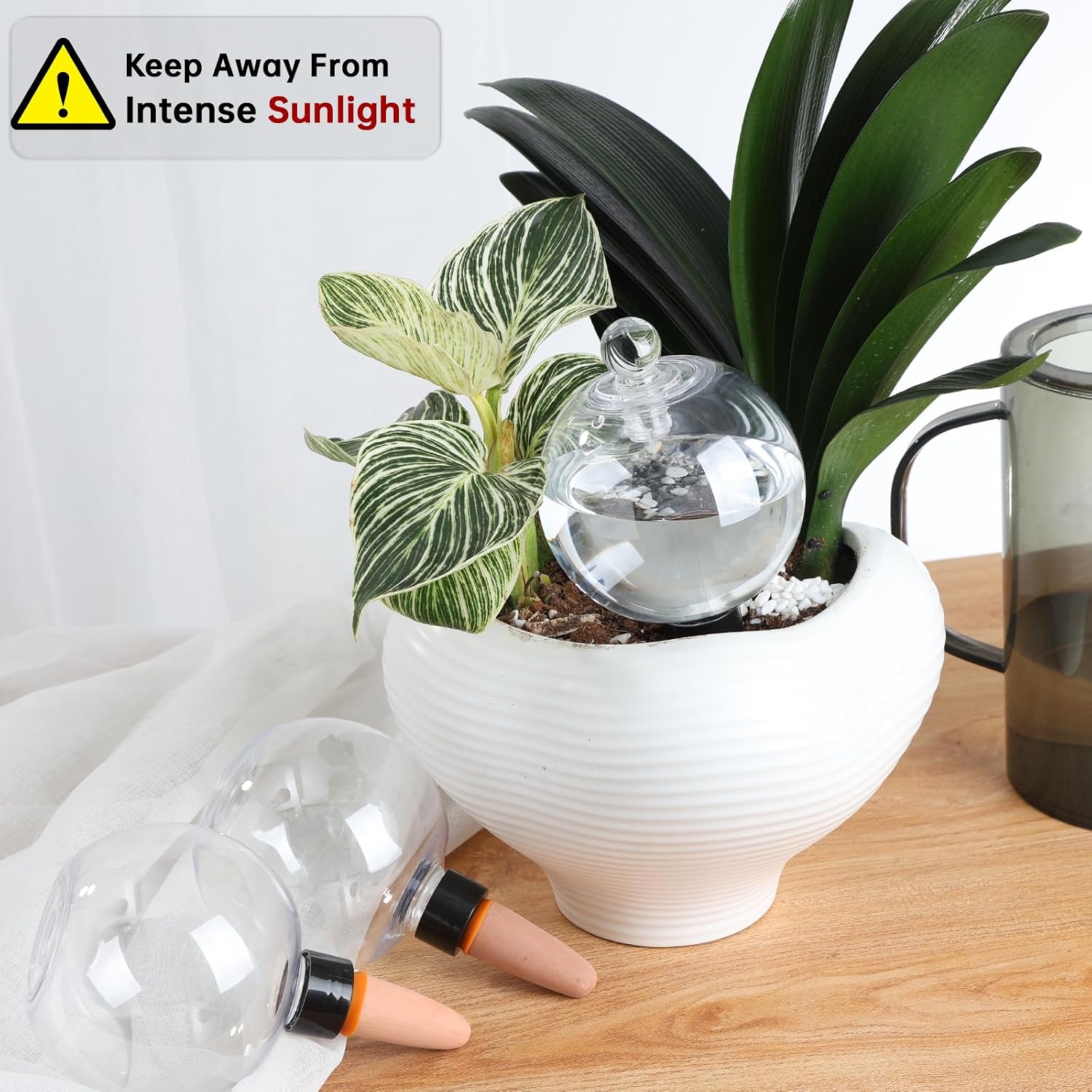 Self-Watering Globes — 4 Pack, 500 ml, with Covers